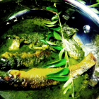 Maas di Noroxingho paat or jool(Fish in curry leaves gravy)