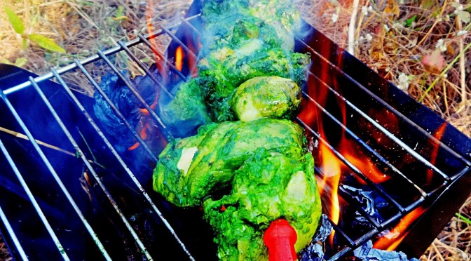 Murg Pahadi tikka kebab