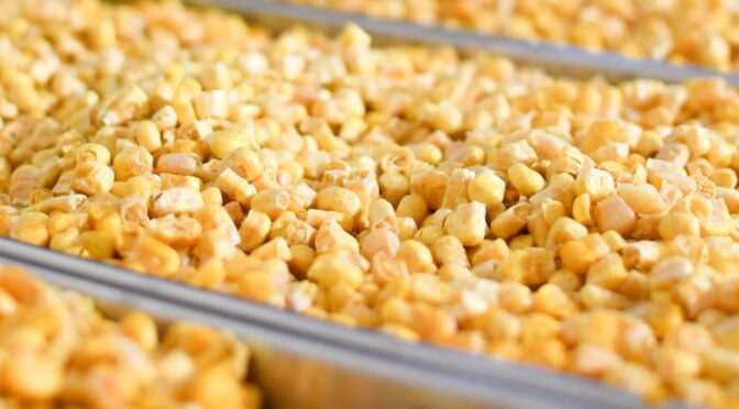 Things You Can Do With a Home FreezeDryer Machine